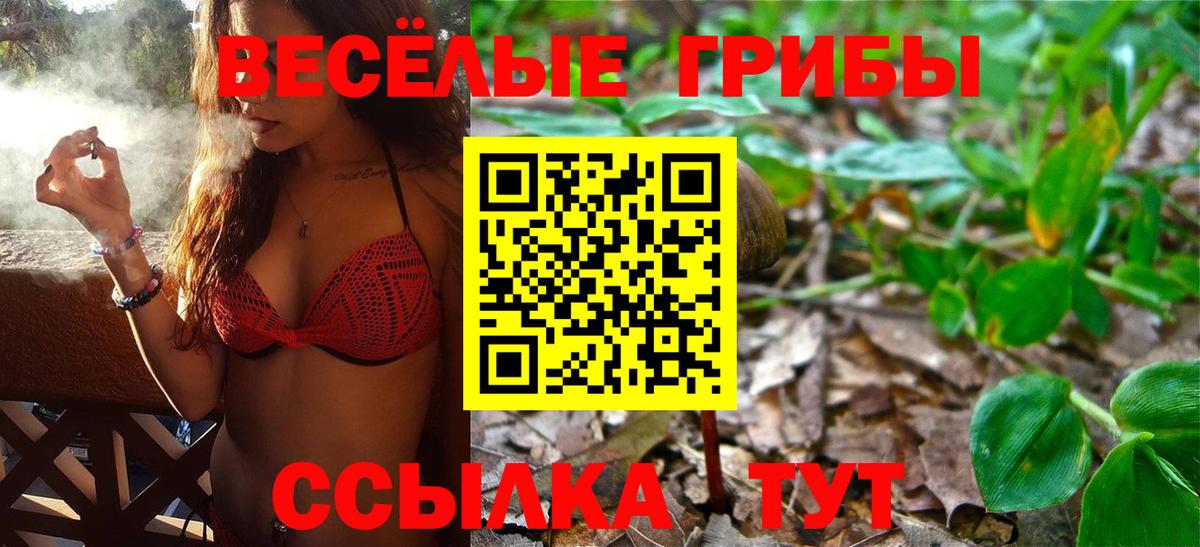 Псилоцибиновые грибы мухоморы Егорьевск