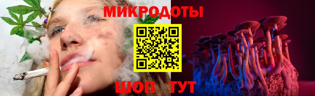 Галлюциногенные грибы Psilocybine cubensis  Вход с VPN  Егорьевск 